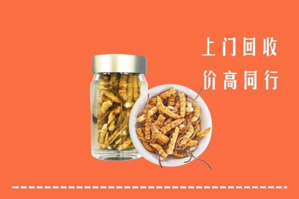 滁州高价回收冬虫夏草